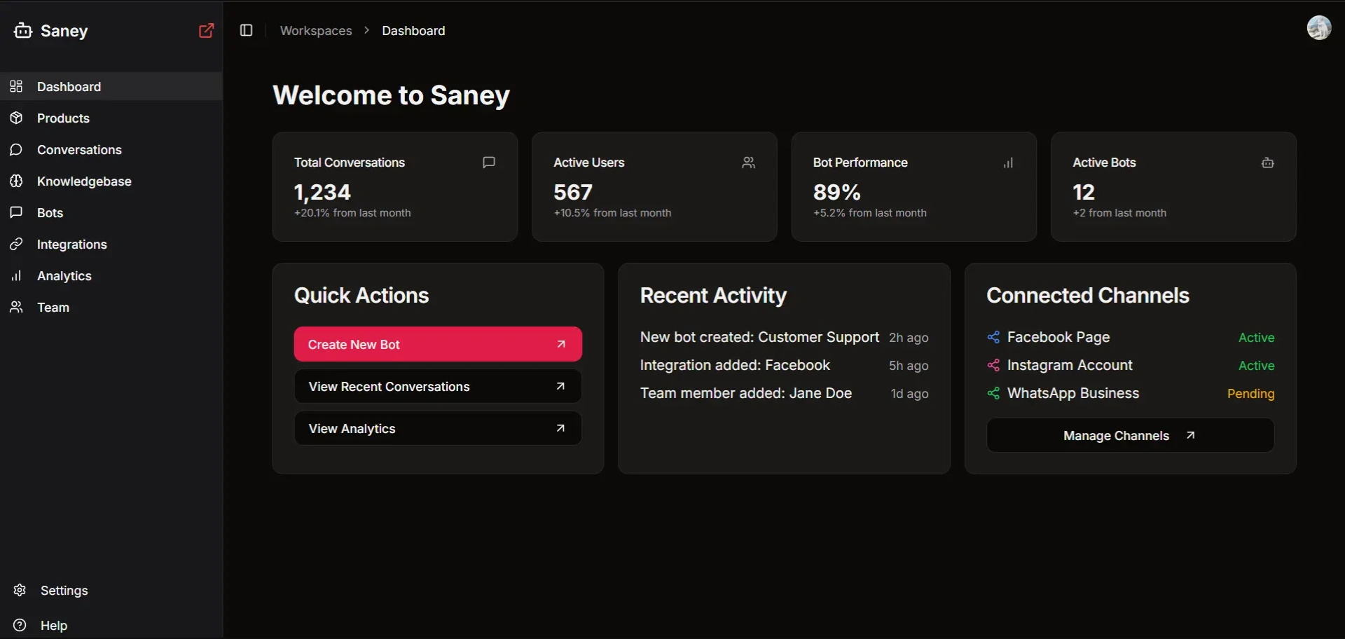 Saney dashboard screenshot